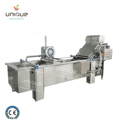 850 KG Kapazität Blattgemüse-Blasenwaschlinie für die Herstellungsanlage Produktion