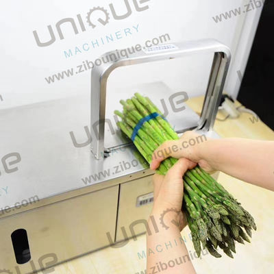 Kunststoff-Mehrzweck-Portable Vegetable Tape Binding Wrapping Bundling Banding Strapping Machine