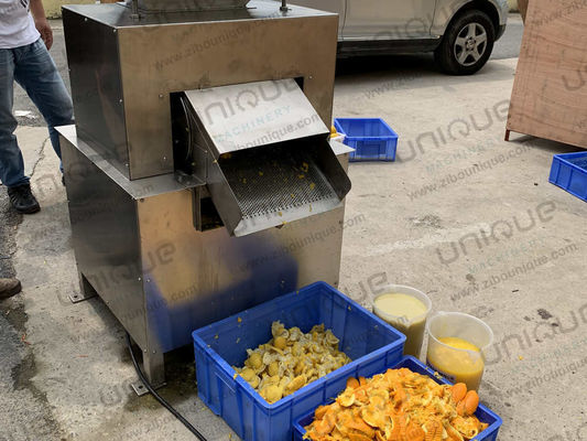 Fruchtpulp Pulp Mango-Saftmachmaschine Saftverarbeitungsmaschine