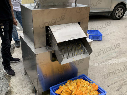 Fruchtpulp Pulp Mango-Saftmachmaschine Saftverarbeitungsmaschine