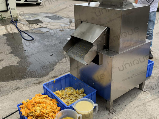 Fruchtpulp Pulp Mango-Saftmachmaschine Saftverarbeitungsmaschine
