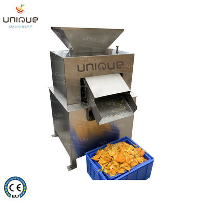 Automatischer Edelstahl 304-Elektro-Fruchtextraktor für Ananas-Tomatensaft