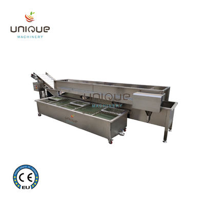 Design Alfalfa / Micro Greens Gemüse-Blasenwaschmaschine für Lebensmittel- und Getränkegeschäfte