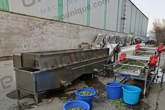 Design Alfalfa / Micro Greens Gemüse-Blasenwaschmaschine für Lebensmittel- und Getränkegeschäfte