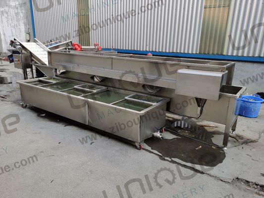 Design Alfalfa / Micro Greens Gemüse-Blasenwaschmaschine für Lebensmittel- und Getränkegeschäfte