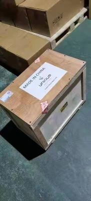 Einzelhandel Gemüsezeller Langbohnen mehrzweckgebundene Bandbindmaschine Verpackungen