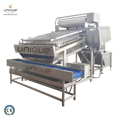3600*2260*2200 mm Automatische Meeresfrüchte-Garnelen-Garnelen-Schälmaschine zur schnellen Verarbeitung