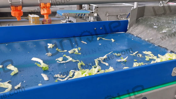 Industriewaschmaschine für Obst und Gemüse aus Edelstahl