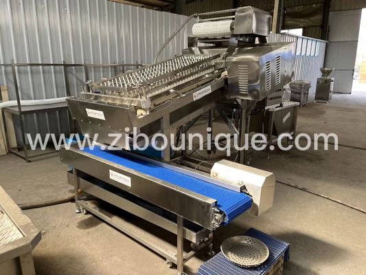 300 kg/h Shrimp Peeling Machine Shrimp Peeling Solution Reinigungsmaschine