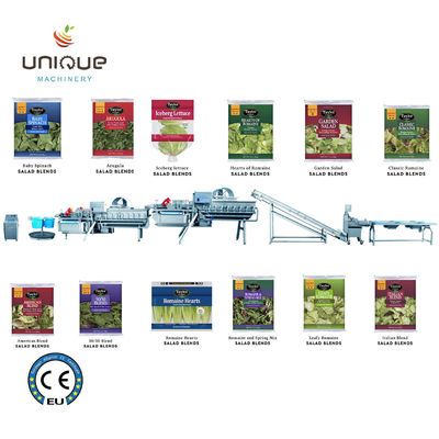 Gewerbliche Verwendung Grüne Teewäsche für die Verarbeitung von Teeblättern in Myanmar aus Zibounique