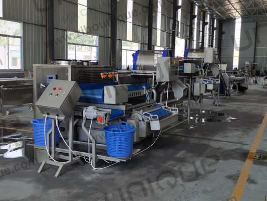 Salatverarbeitung macht einfache Gemüsewaschmaschine für Babyspinat Salat Kohl