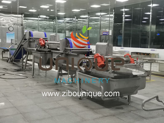 Gewerbliche Verwendung Grüne Teewäsche für die Verarbeitung von Teeblättern in Myanmar aus Zibounique