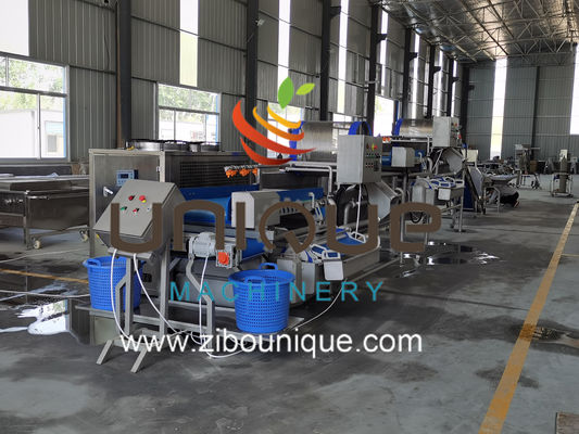 Gewerbliche Verwendung Grüne Teewäsche für die Verarbeitung von Teeblättern in Myanmar aus Zibounique