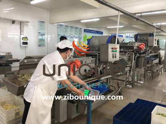 Gewerbliche Verwendung Grüne Teewäsche für die Verarbeitung von Teeblättern in Myanmar aus Zibounique