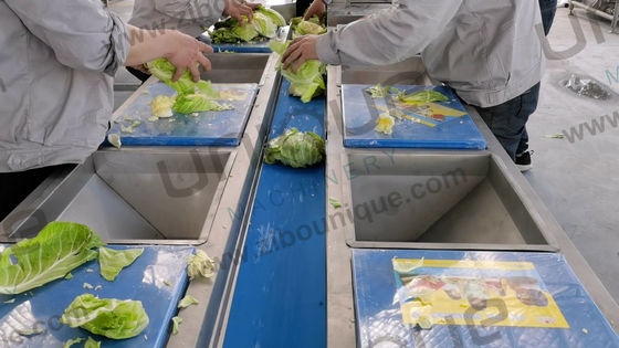 2021 Style Gemüse-Frucht-Helix-Wasch-Verarbeitung für kommerzielle Anwendungen