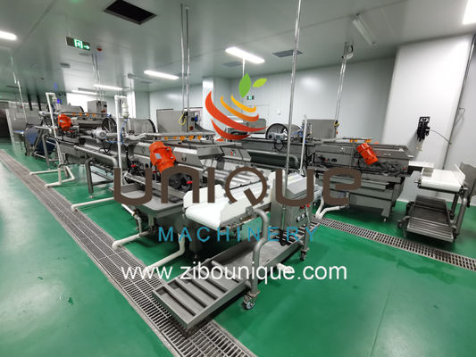 Früchte und Gemüse Gemüsesalat Waschmaschine mit 5000 KG Verarbeitungseffizienz