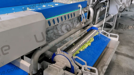 Salat-Blätter-Gemüse-Verarbeitung Linie nehmen Sie Ihre Salat-Produktion auf die nächste Ebene