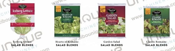 2000 kg/h Kapazität Gemüse- und Obstwaschmaschine zur gründlichen Reinigung