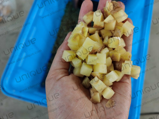Jahr Kartoffelmaschine Industrielle Gemüseschneidemaschine mit individueller Spannung