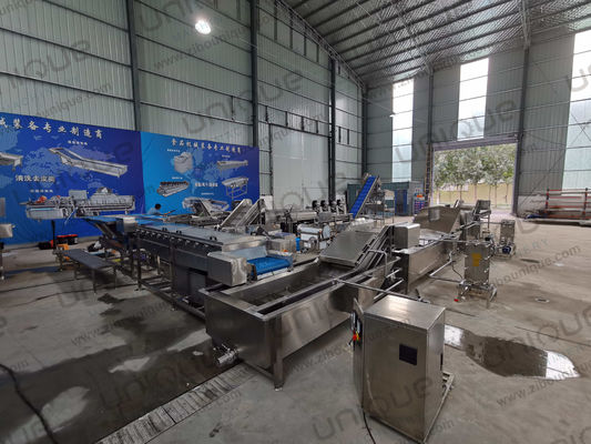 Hochdruck Ingwer Kurkuma Taro Yam Malanga Sprühen Waschmaschine zur Reinigung