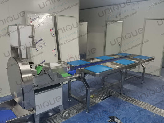 600-1500 kg/h Kapazität Schnittmaschine für Blattgrün