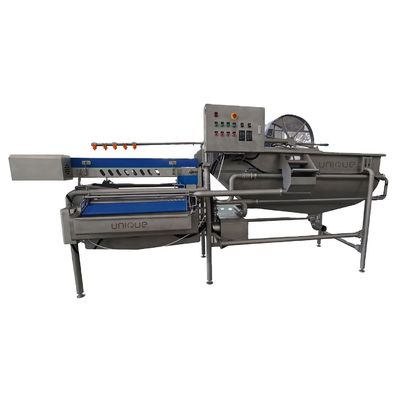 Maßgeschneiderte Spannung 1,5 t/h Kapazität Gemüse- und Salatwaschmaschine zur Reinigung