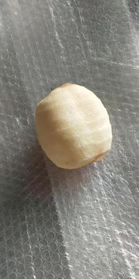 500 KG vollautomatische Industrie-Frucht-Apfel-Pier-Kiwi-Frucht-Schäl- und -Kernmaschine für 2022