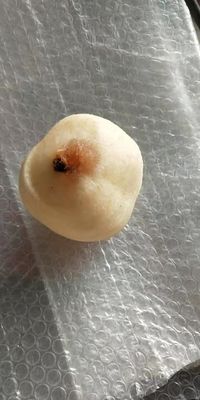 Funktion der Fruchtschälung Elektro-Kommerzielle Apfelschälmaschine Schälmaschine 2500*1000*1500 mm