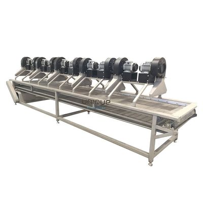 Lufttrocknungsmaschine aus Edelstahl 304 für die effiziente Trocknung von Obst und Gemüse 2022