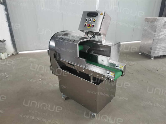 Videotechnische Unterstützung Teeschneidmaschine und Petersilie-Schneidmaschine 1200*680*1460 mm