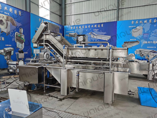 850 KG Kapazität Blattgemüse-Blasenwaschlinie für die Herstellungsanlage Produktion