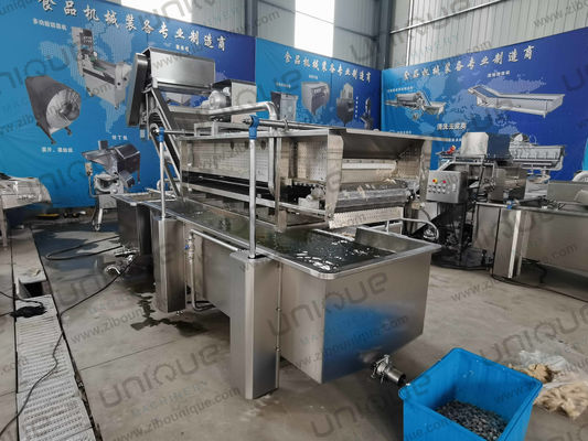 850 KG Kapazität Blattgemüse-Blasenwaschlinie für die Herstellungsanlage Produktion