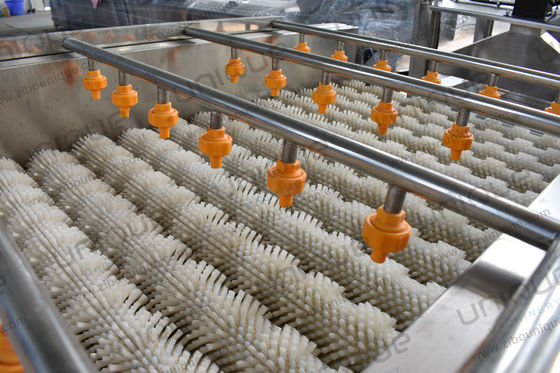 2.25 kw Austern Gemüse Bürstenwascher für Yam und Malanga Waschen in großem Umfang
