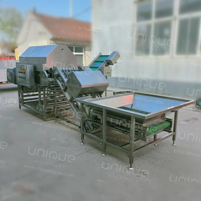 Industrielle 304 Edelstahl Zwiebelschälmaschine mit 3 kW Leistung und 380V Spannung