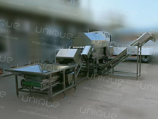 Industrielle 304 Edelstahl Zwiebelschälmaschine mit 3 kW Leistung und 380V Spannung