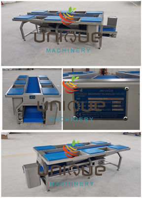 Gemüsesortierungstisch und -förderer aus Edelstahl Gemüsevorbereitungstisch 0,74 kW