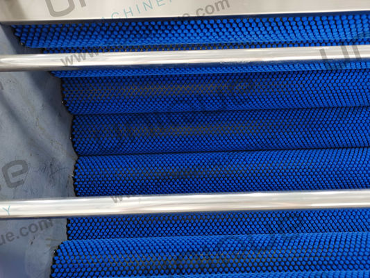 Kommerzielle Verwendung Automatische Pinselreinigungsmaschine für Palmdatteln mit weichem Pinselreiniger