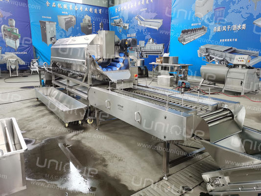 304 Edelstahl automatische Süßkartoffel Yam Waschmaschine Schälen Produktionslinie