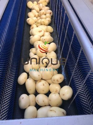 Kartoffelschälmaschine und Karottenwaschmaschine mit individueller Spannung