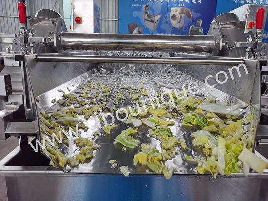 Edelstahl 4,4 kW Kohlwaschmaschine zur Sterilisation von Gemüse und Salaten