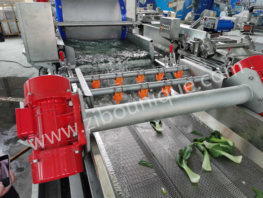 Edelstahl 4,4 kW Kohlwaschmaschine zur Sterilisation von Gemüse und Salaten