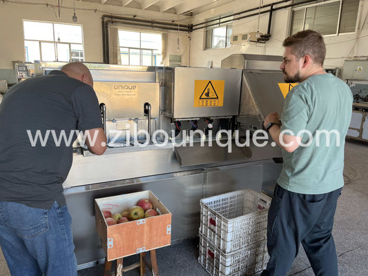 Videotechnische Unterstützung 304 Edelstahl 750 kg/h Birnenschälmaschine