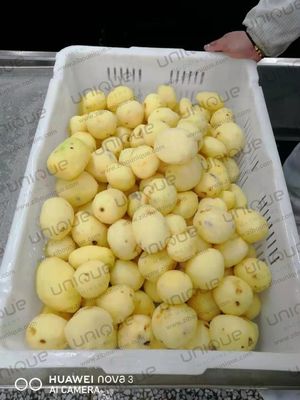 Spezielle Spannungs-Kartoffelwaschmaschine für die Lebensmittelindustrie