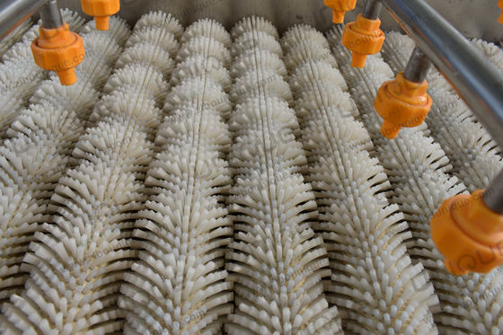 Mango-Bürste-Reinigungsmaschine für Birnen-Äpfel-Karotten-Schlammreinigung 3000*1250*1350 mm