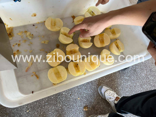 Elektrische Apple Skin Peeler Machine Schneider Peeler Coring Machine für 500 KG Kapazität