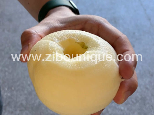 Videotechnische Unterstützung für und Industrieelektrische Apple Peeler Corer Schneidmaschine