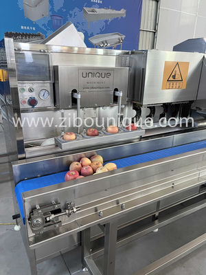 Maßgeschneiderte Spannung 304 Edelstahl Apfel und Birne Schälen und Kern Schneiden Maschine