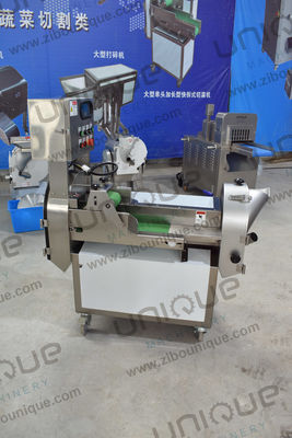 Sehr vielseitige Frucht- und Blattgemüsescheibenmaschine mit 220v/anpassbarer Spannung