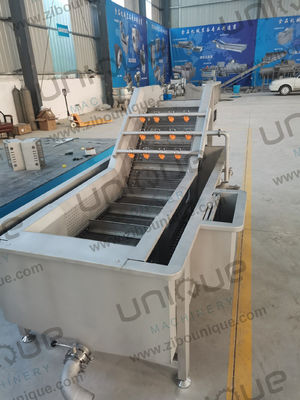 RQF Tiefkühlproduktionslinie Waschen Sterilisieren und Einfrieren in einer Lösung