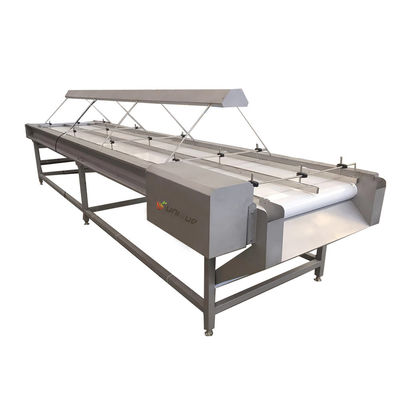 220v/ 380v Edelstahl 304 Nuss Auswahlförderband für Rosinen Sortiermaschine
